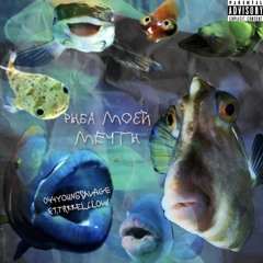 Рыба Моей Мечты (feat. Mr. Hollywoooood) [prod. by OG Insomnia]