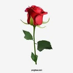 La Gestuelle-Love story🌹