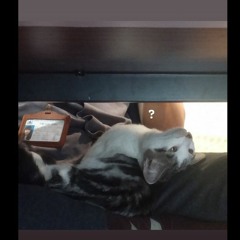 Only- LeeHi (piano cover by Mít)