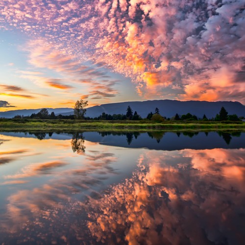 كما في السماء كذلك على الأرض | الجزء الخامس