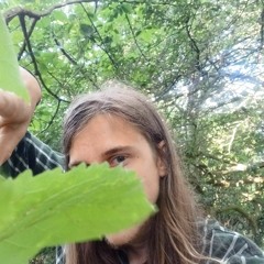 Take me to California