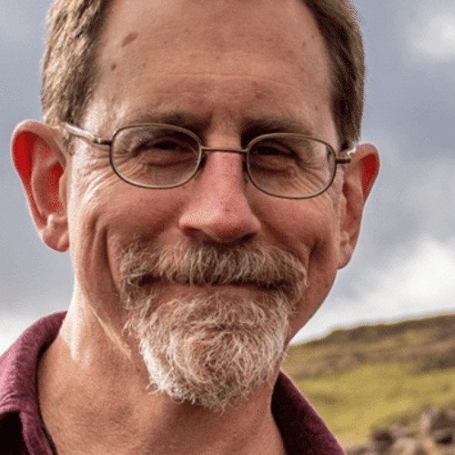 Erik Davis on Blotter, Madness, '90's Subcultures, Terence McKenna, and The Burning Shore
