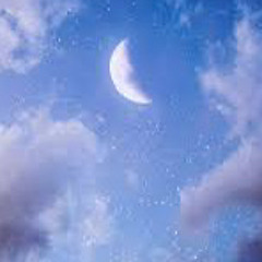 STREET (FT. JPEGMAFIA)