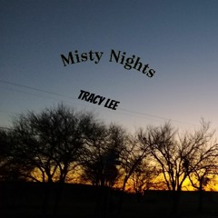 Misty Nights