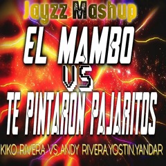 Te Pintaron Pajaritos VS El Mambo - Jayzz Mashup | FREE