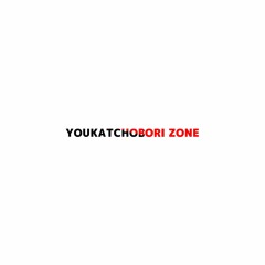 合作｜YOUKATCHOBORI ZONE
