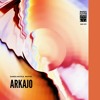 Danza Nativa Invites 011 - Arkajo DJ mix artwork - Electronic music tracklist cover image