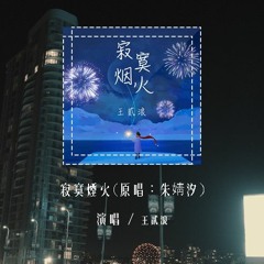 王贰浪 - 寂寞烟火(原唱：朱婧汐) 「我曾经走过多遥远的路，跨越过多少海洋去看你」(4k Video)【動態歌詞/pīn yīn gē cí】#王贰浪 #寂寞烟火 #朱婧汐 #動態歌詞