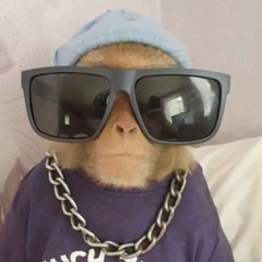 txtTXt-xt-tz-sxt-st-dt/s0eawa0we0wrl23le23oogogo