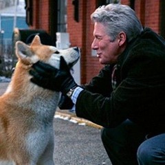 Hachi The Dog | Tribute Song