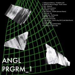 PRGRM_1