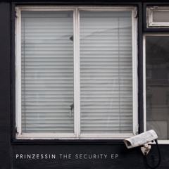 Trigger - Crystalline Stricture Remix For Prinzessin
