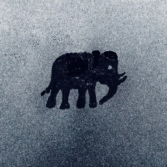 Elephant (TipToe)