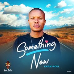 Kaygo Soul - Something New (Original Mix)