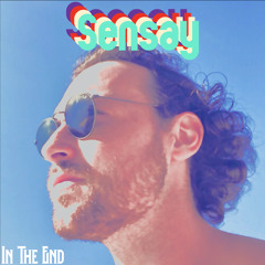 In The End (prod. Maccro)