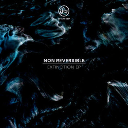 Premiere: Non Reversible "And Then There Was Silence" - Soma Records