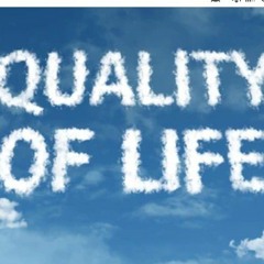 5. You Pimp ( Quality of life volume 2 )