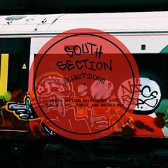 South Section Selections #2 - DYL
