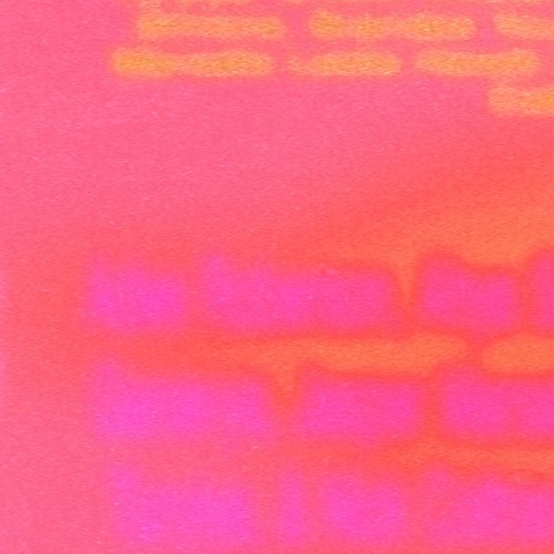 Alice Coltrane Special: Brandee Younger Live Performance 090225