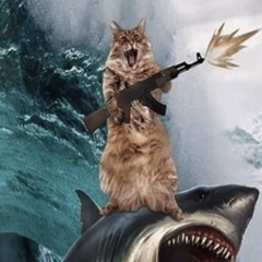 kkingofnorth - Løbframinscar