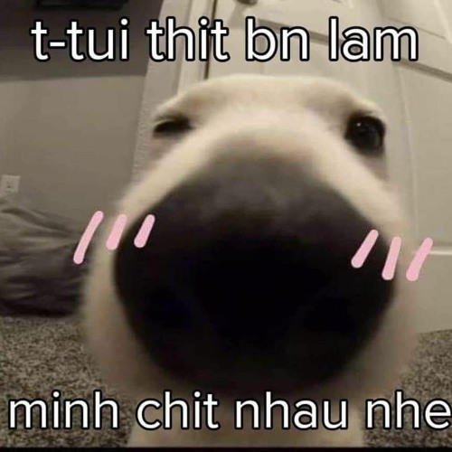Còn Gì Đau Hơn Chữ Đã Từng - H Thái Remix - 𝙉𝙜𝙪𝙮𝙚𝙣 𝙈𝙞𝙣𝙝