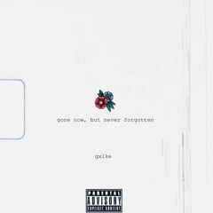 gone now, but never forgotten (prod. Jolst x 5head)