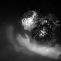 Ein fragendes Gesicht (lockdown version)