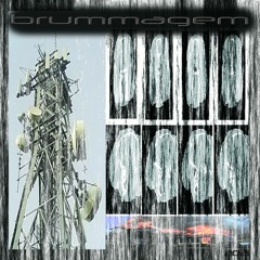 brummagem - how many trees have you planted, asshole?