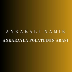 Ankarayla Polatlının Arası