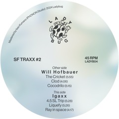 Will Hofbauer / Igaxx - SF TRAXX #2 (Clips)