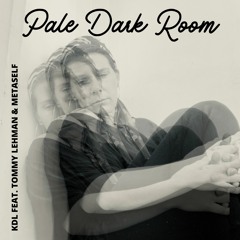 Pale Dark Room