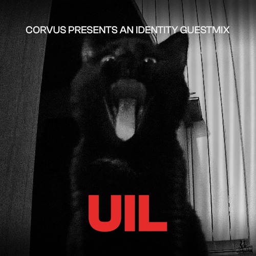 IDENTITY013 : UIL