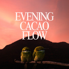 Evening Cacao Flow