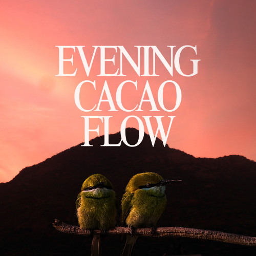 Evening Cacao Flow