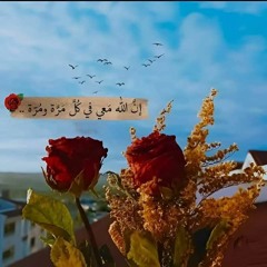 لا اقسم بهذا البلد -الشيخ محمود صديق المنشاوى وهو يحاول تقليد ومحاكاة أخيه الأكبر محمد صديق المنشاوى
