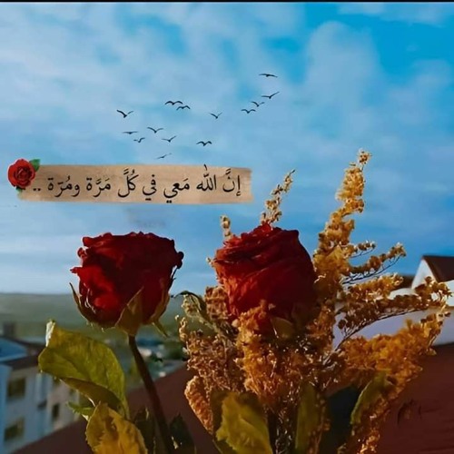 لا اقسم بهذا البلد -الشيخ محمود صديق المنشاوى وهو يحاول تقليد ومحاكاة أخيه الأكبر محمد صديق المنشاوى