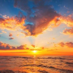 Guten Morgen Sonnenschein