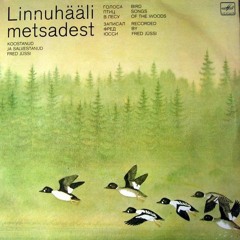 Linnuhääli metsadest = Голоса птиц в лесу = Bird Songs In The Woods