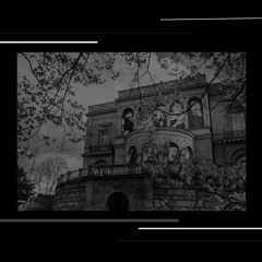 Hybrid Set - Predawn Festival  @ Villa Berg // Stuttgart (DE) 7/9/2024