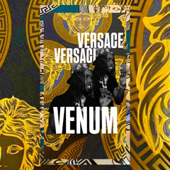 HEARTMIND MIXTAPE DJVERSACE_VENUM