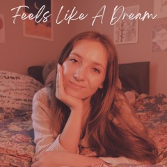 Feels Like A Dream x No Idea