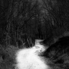 Alone, In The Woods