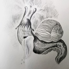 Motionsloh (provisorisch)