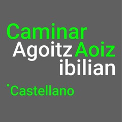 CAMINAR AOIZ TRACK 1
