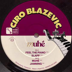 PREMIERE: Ciro Blazevic - Jamming (Original Mix) [WAREBLUES]