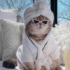 힙합 HIPHOP 바운스 party music  유남생???