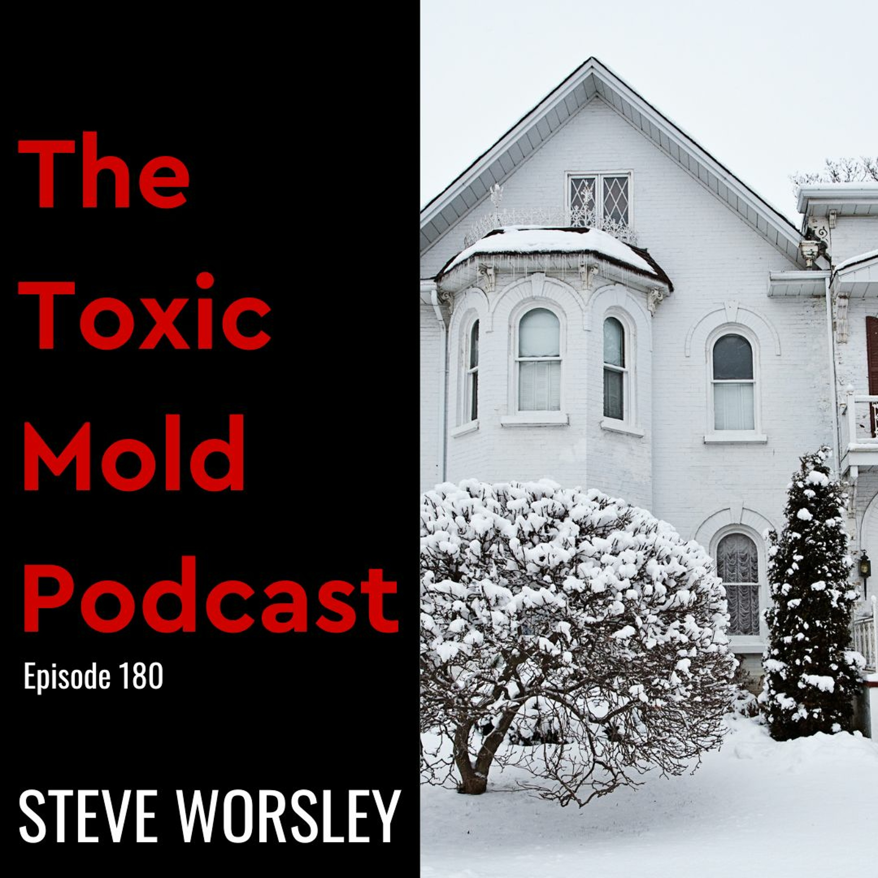 The Toxic Mold Podcast