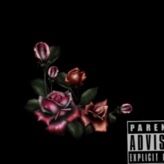 DLN_ Désolé feat Fast