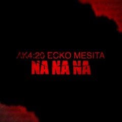 NANANA - AK4 20 FT MESITA - ECKO