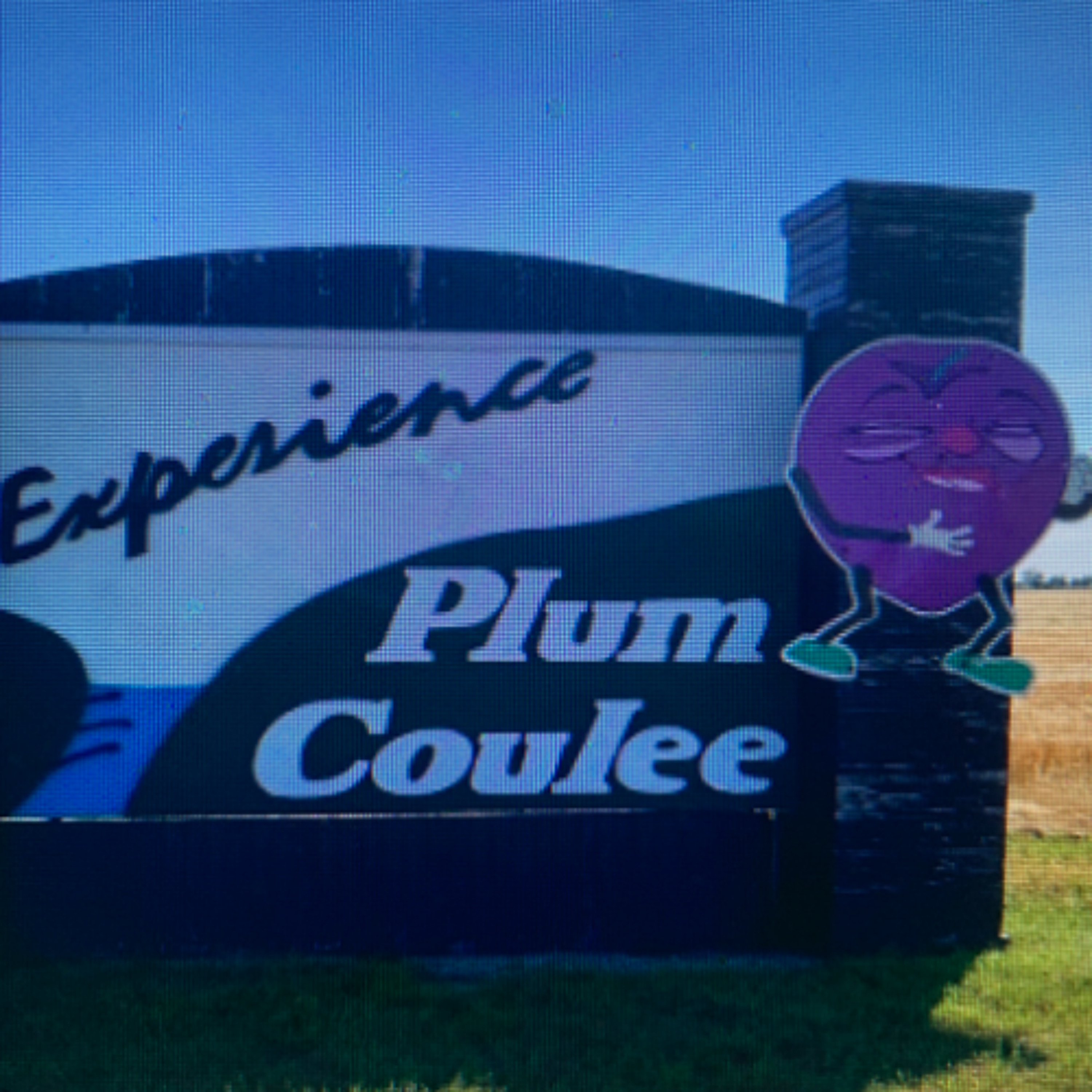 Tuesday Titter - PLUM COULEE. episode artwork